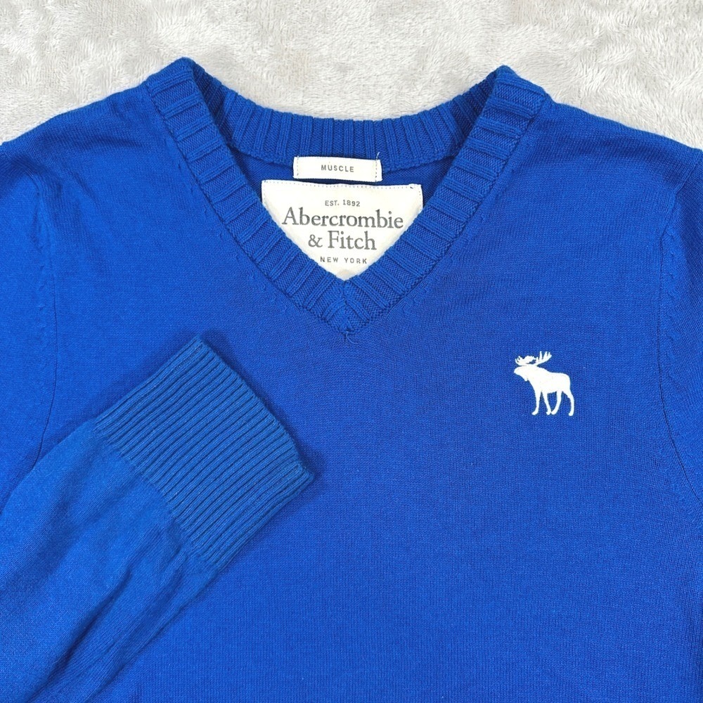 Abercrombie Fitch Sweater Mens Med Y2k Blue V-Neck Muscle Fit Logo Knit Moose